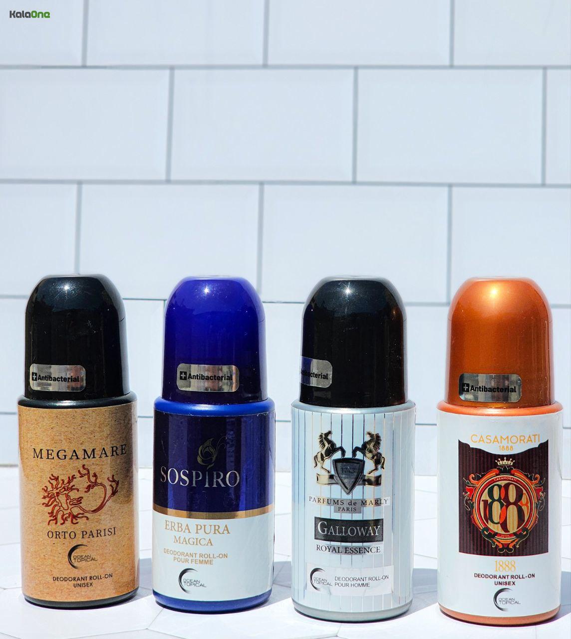 IMG_20251031_123159_389